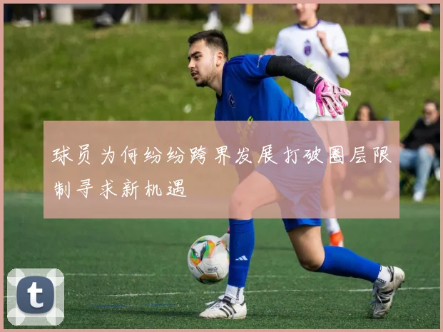 球员为何纷纷跨界发展打破圈层限制寻求新机遇